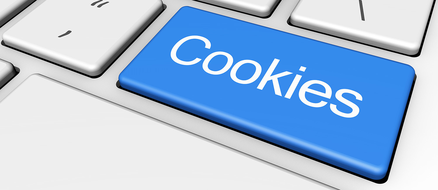 Website Cookie Policy For Villa Motel Santa Maria